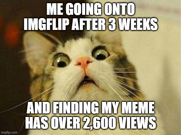 ME GOING ONTO IMGFLIP AFTER 3 WEEKS AND FINDING MY MEME HAS OVER 2,600 VIEWS | image tagged in memes,scared cat | made w/ Imgflip meme maker
