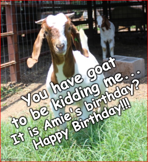 Happy Birthday Amie | You have goat to be kidding me... It is Amie's birthday?
Happy Birthday!!! | image tagged in happy birthday,birthday,amie,goat | made w/ Imgflip meme maker