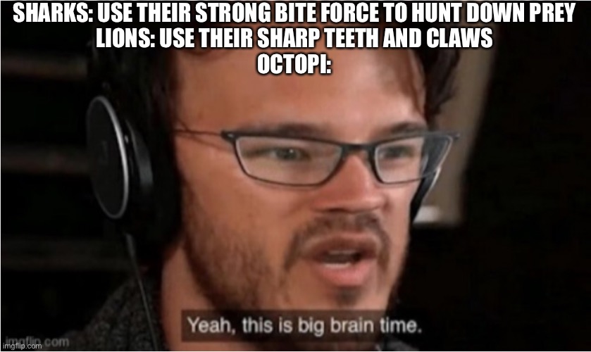 Bruh | SHARKS: USE THEIR STRONG BITE FORCE TO HUNT DOWN PREY
LIONS: USE THEIR SHARP TEETH AND CLAWS
OCTOPI: | image tagged in bruh | made w/ Imgflip meme maker