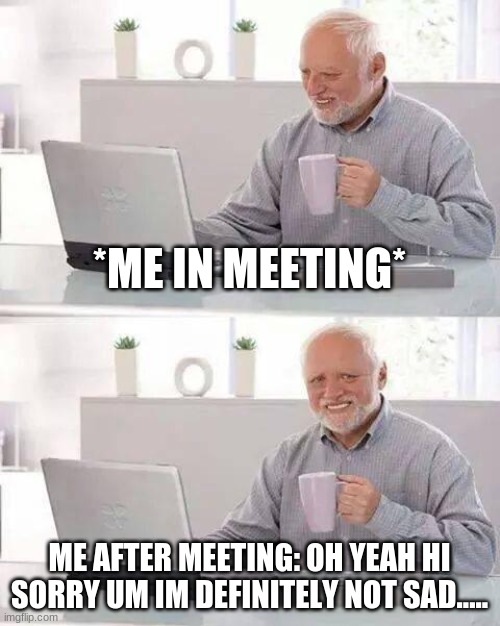 No...It was fine before haha this is a jokey | *ME IN MEETING*; ME AFTER MEETING: OH YEAH HI SORRY UM IM DEFINITELY NOT SAD..... | image tagged in memes,hide the pain harold | made w/ Imgflip meme maker
