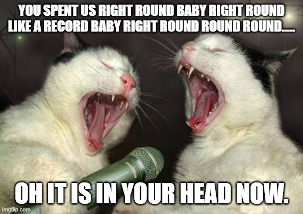 singing cats | YOU SPENT US RIGHT ROUND BABY RIGHT ROUND LIKE A RECORD BABY RIGHT ROUND ROUND ROUND..... OH IT IS IN YOUR HEAD NOW. | image tagged in singing cats | made w/ Imgflip meme maker