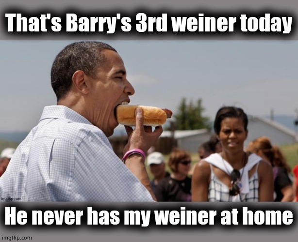 Don't doubt Michelle's meat! Sweet Michelle just wants to feed her man! #BringBackOurGirls | That's Barry's 3rd weiner today; He never has my weiner at home | image tagged in michelle obama | made w/ Imgflip meme maker