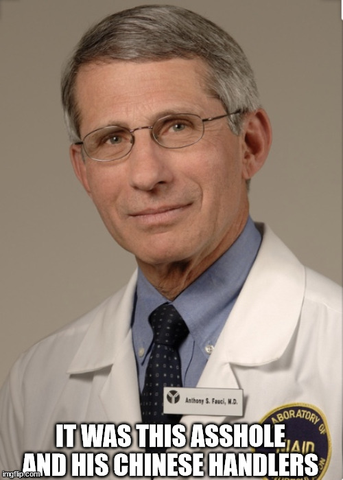 Dr Fauci | IT WAS THIS ASSHOLE AND HIS CHINESE HANDLERS | image tagged in dr fauci | made w/ Imgflip meme maker