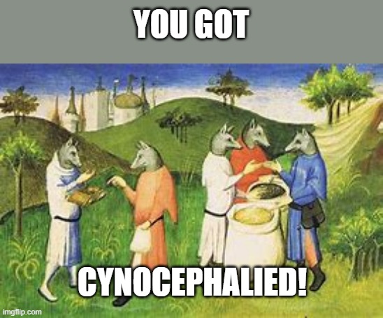 doggo people!! | YOU GOT; CYNOCEPHALIED! | image tagged in memes,mythology,doggo | made w/ Imgflip meme maker