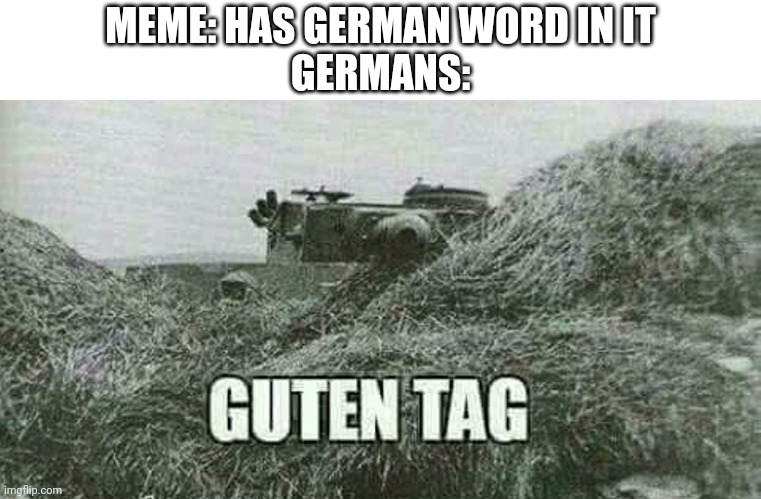 Germans |  MEME: HAS GERMAN WORD IN IT
GERMANS: | image tagged in germans | made w/ Imgflip meme maker