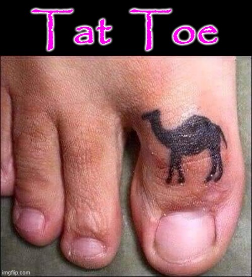 My Camel toe is my life!!!! - camel toe - quickmeme