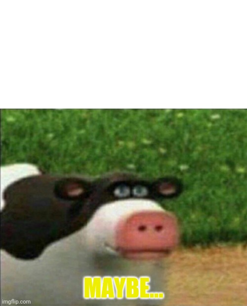 Perhaps cow | MAYBE... | image tagged in perhaps cow | made w/ Imgflip meme maker