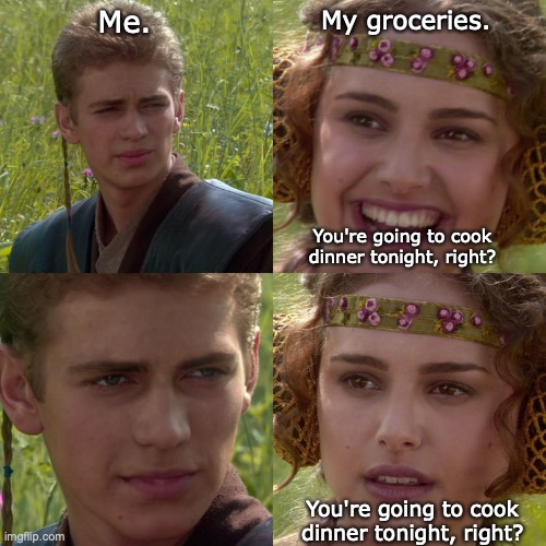 You're going to cook dinner tonight, right? | Me. My groceries. You're going to cook dinner tonight, right? You're going to cook dinner tonight, right? | image tagged in anakin padme 4 panel | made w/ Imgflip meme maker