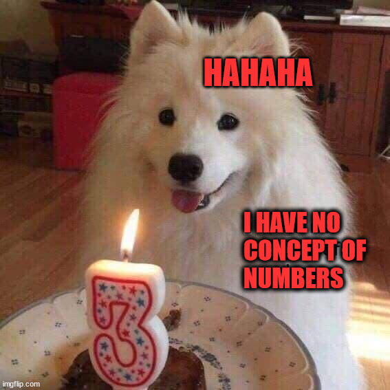 HAHAHA; I HAVE NO
CONCEPT OF
NUMBERS | image tagged in dogs | made w/ Imgflip meme maker