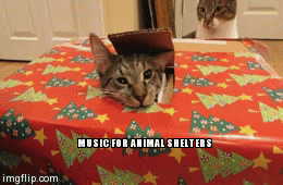 Hey, get back in there! - Imgflip
