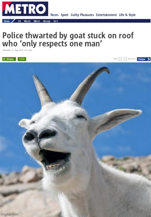 Yep | image tagged in memes,laughing goat | made w/ Imgflip meme maker