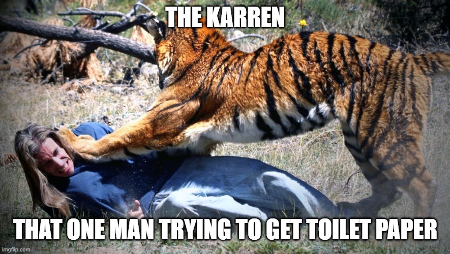 KARREN | THE KARREN; THAT ONE MAN TRYING TO GET TOILET PAPER | image tagged in cats | made w/ Imgflip meme maker