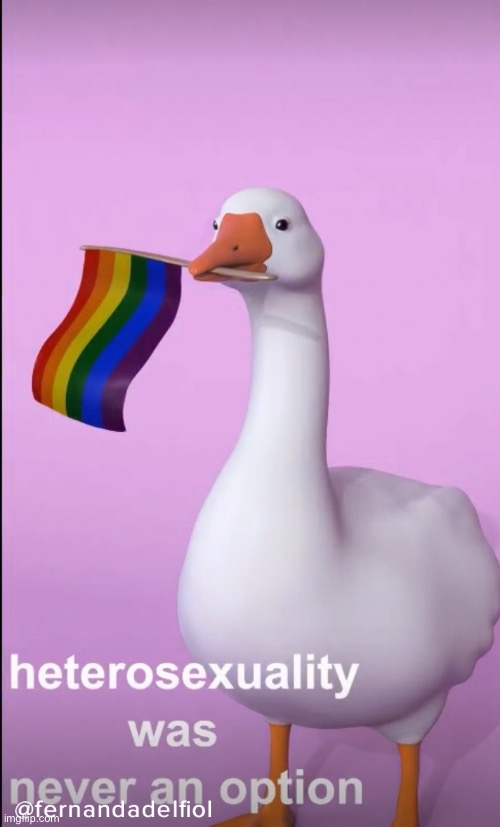 Found this on tiktok lol, make sure to follow them | image tagged in lgbtq | made w/ Imgflip meme maker