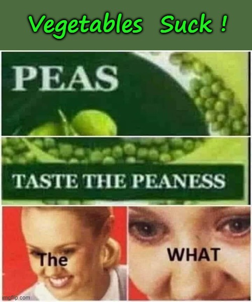 Vegetables Suck ! | Vegetables  Suck ! | image tagged in veggietales 'allow us to introduce ourselfs' | made w/ Imgflip meme maker