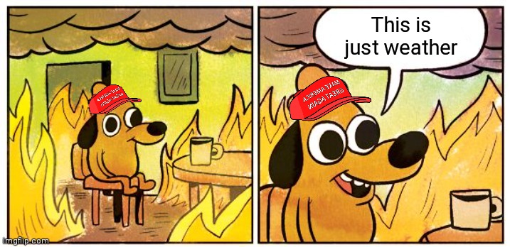 This Is Fine | This is just weather | image tagged in memes,this is fine | made w/ Imgflip meme maker