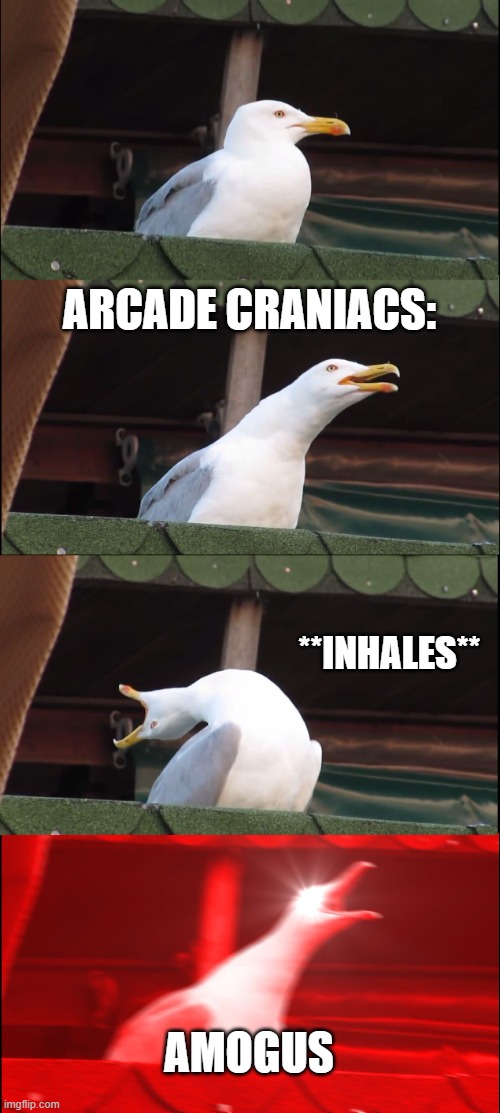 Arcade Craniacs | ARCADE CRANIACS:; **INHALES**; AMOGUS | image tagged in memes,inhaling seagull | made w/ Imgflip meme maker