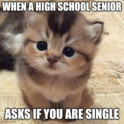 Cute | WHEN A HIGH SCHOOL SENIOR; ASKS IF YOU ARE SINGLE | image tagged in high school | made w/ Imgflip meme maker