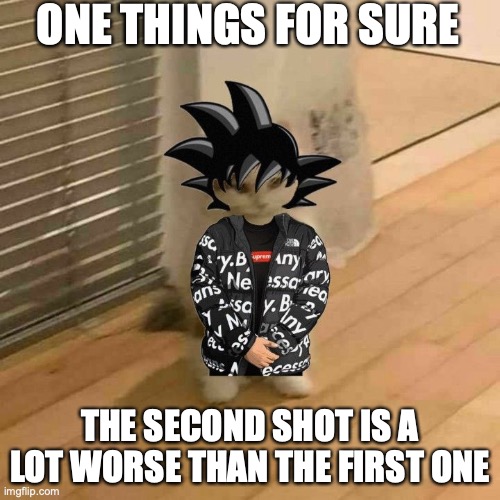 please don't go on a rant about the vaccine. | ONE THINGS FOR SURE; THE SECOND SHOT IS A LOT WORSE THAN THE FIRST ONE | image tagged in goku drip cat | made w/ Imgflip meme maker