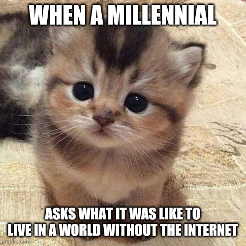 Dumb kids | WHEN A MILLENNIAL; ASKS WHAT IT WAS LIKE TO LIVE IN A WORLD WITHOUT THE INTERNET | image tagged in kids | made w/ Imgflip meme maker