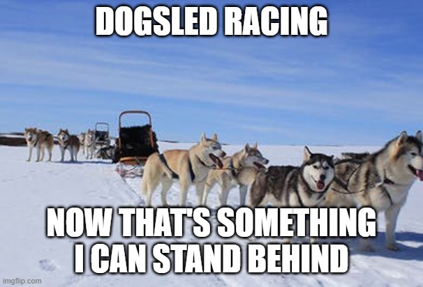 Dogsled | DOGSLED RACING; NOW THAT'S SOMETHING I CAN STAND BEHIND | image tagged in dogsled | made w/ Imgflip meme maker