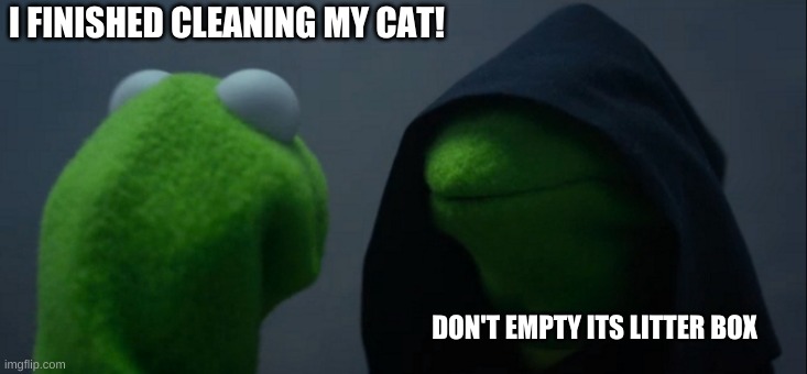 Cats | I FINISHED CLEANING MY CAT! DON'T EMPTY ITS LITTER BOX | image tagged in memes,evil kermit,cats | made w/ Imgflip meme maker