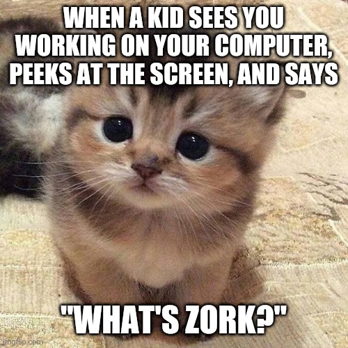 Cute kitty | WHEN A KID SEES YOU WORKING ON YOUR COMPUTER, PEEKS AT THE SCREEN, AND SAYS; "WHAT'S ZORK?" | image tagged in video games | made w/ Imgflip meme maker