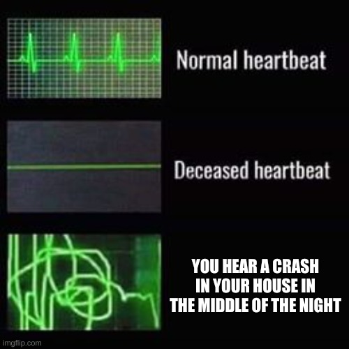 heartbeat rate |  YOU HEAR A CRASH IN YOUR HOUSE IN THE MIDDLE OF THE NIGHT | image tagged in heartbeat rate | made w/ Imgflip meme maker