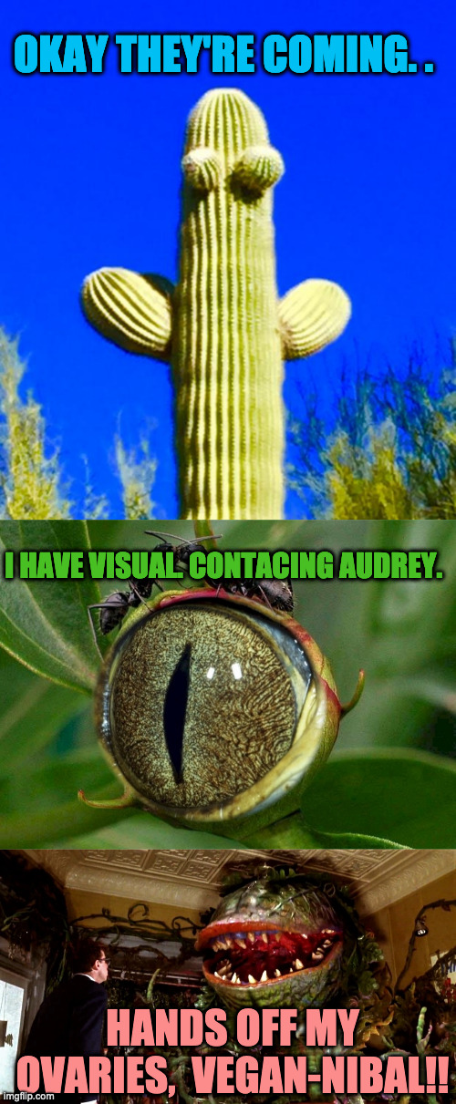 When Plants Strike Back | OKAY THEY'RE COMING. . I HAVE VISUAL. CONTACING AUDREY. HANDS OFF MY OVARIES,  VEGAN-NIBAL!! | image tagged in huggy cactus,the ants don't see the plant not seeing them,little shop of horrors | made w/ Imgflip meme maker