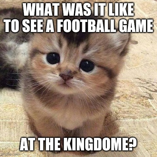 Cute kitty | WHAT WAS IT LIKE TO SEE A FOOTBALL GAME; AT THE KINGDOME? | image tagged in cute kitty | made w/ Imgflip meme maker