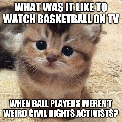 Cute kitty | WHAT WAS IT LIKE TO WATCH BASKETBALL ON TV; WHEN BALL PLAYERS WEREN'T WEIRD CIVIL RIGHTS ACTIVISTS? | image tagged in cute kitty | made w/ Imgflip meme maker