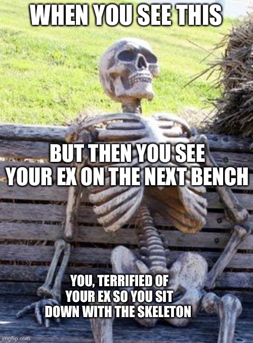 Choose, Ex or Skeleton | WHEN YOU SEE THIS; BUT THEN YOU SEE YOUR EX ON THE NEXT BENCH; YOU, TERRIFIED OF YOUR EX SO YOU SIT DOWN WITH THE SKELETON | image tagged in memes,waiting skeleton | made w/ Imgflip meme maker