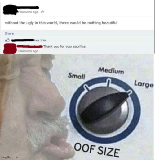 Oof! | image tagged in oof size large,insult,roasts,sacrifice | made w/ Imgflip meme maker