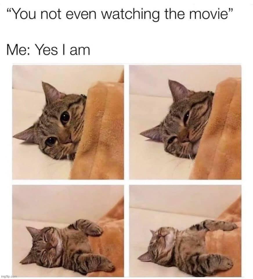 When your girl is watching a movie with you. | image tagged in sleepy | made w/ Imgflip meme maker