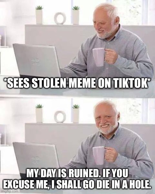 Just don’t steal memes | *SEES STOLEN MEME ON TIKTOK*; MY DAY IS RUINED. IF YOU EXCUSE ME, I SHALL GO DIE IN A HOLE. | image tagged in memes,hide the pain harold | made w/ Imgflip meme maker