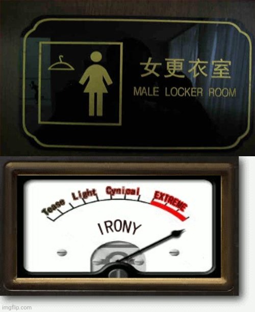 Male locker room sign, ironic | image tagged in irony meter,you had one job,memes,meme,fails,fail | made w/ Imgflip meme maker