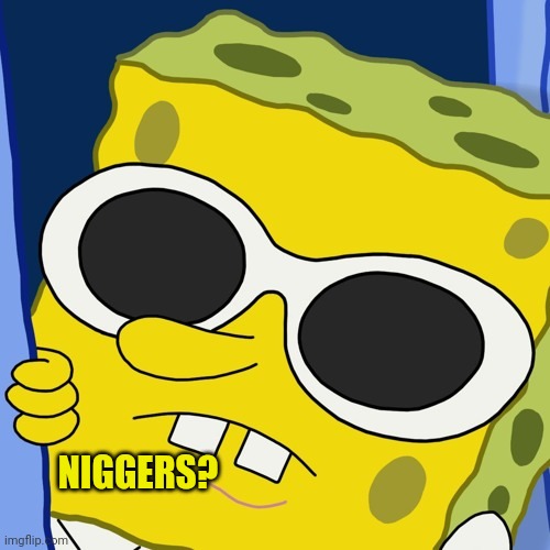 NIGGERS? | image tagged in hoes mad | made w/ Imgflip meme maker