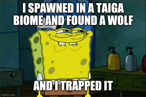 "Survival" memes edition EP1 P2 | I SPAWNED IN A TAIGA BIOME AND FOUND A WOLF; AND I TRAPPED IT | image tagged in memes,don't you squidward | made w/ Imgflip meme maker