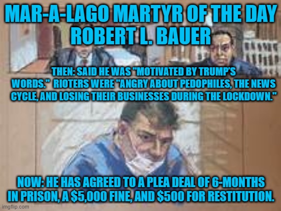 The insurrection will be an expensive life lesson for many. | MAR-A-LAGO MARTYR OF THE DAY
ROBERT L. BAUER; THEN: SAID HE WAS "MOTIVATED BY TRUMP’S WORDS."  RIOTERS WERE "ANGRY ABOUT PEDOPHILES, THE NEWS CYCLE, AND LOSING THEIR BUSINESSES DURING THE LOCKDOWN."; NOW: HE HAS AGREED TO A PLEA DEAL OF 6-MONTHS IN PRISON, A $5,000 FINE, AND $500 FOR RESTITUTION. | image tagged in politics | made w/ Imgflip meme maker