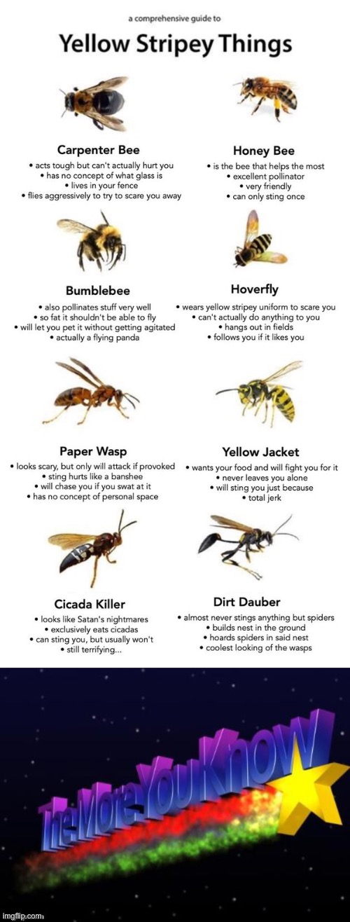 “Here’s some info for yellow stripey things!” | image tagged in the more you know,bees,yellow stripey things,wtf,this is wrong on so many levels | made w/ Imgflip meme maker
