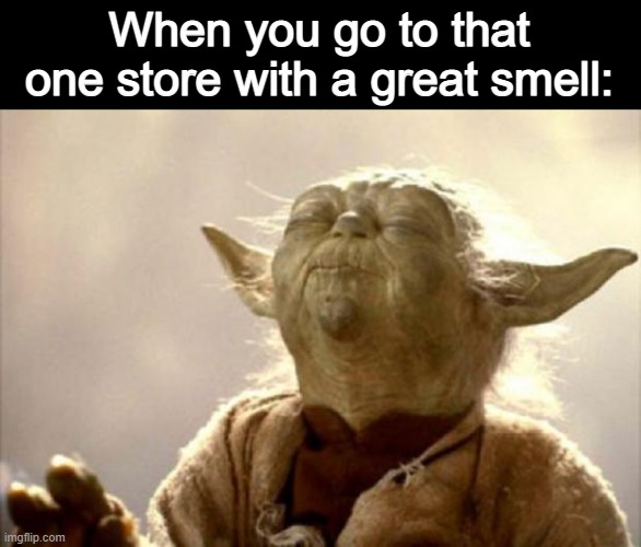 Ahhhhh | When you go to that one store with a great smell: | image tagged in yoda smell,memes,funny,fun,smell,noice | made w/ Imgflip meme maker