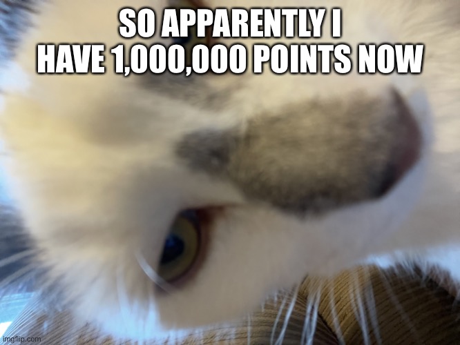 Jerry | SO APPARENTLY I HAVE 1,000,000 POINTS NOW | image tagged in jerry | made w/ Imgflip meme maker