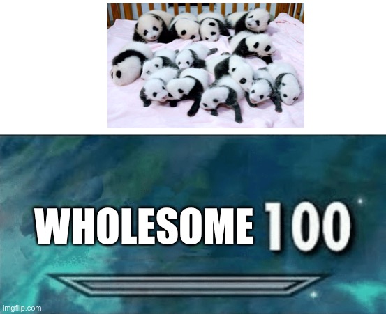 pandas | WHOLESOME | image tagged in skyrim skill meme,panda,wholesome,memes,funny,animals | made w/ Imgflip meme maker