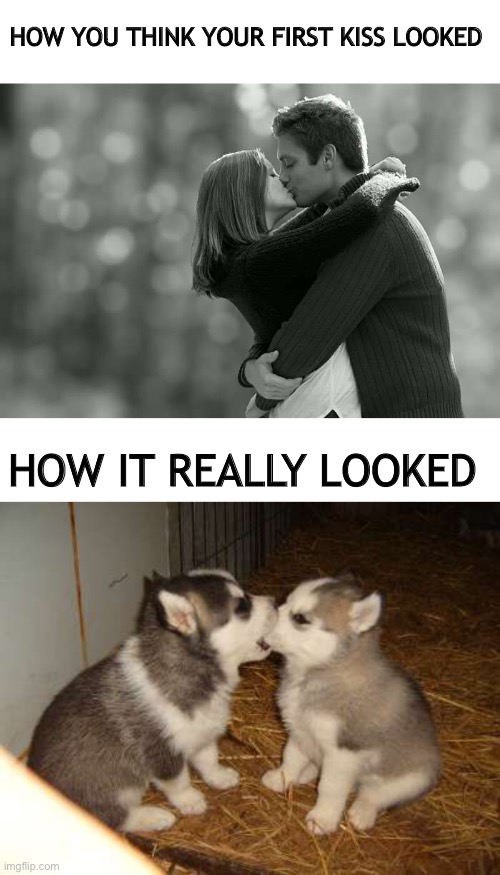 Thanks to who_am_i for the idea :) | HOW YOU THINK YOUR FIRST KISS LOOKED; HOW IT REALLY LOOKED | image tagged in couple kissing,memes,cute puppies | made w/ Imgflip meme maker