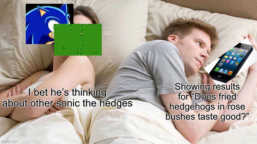 This is pretty absurd. I like it. | Showing results for “Does fried hedgehogs in rose bushes taste good?”; I bet he’s thinking about other sonic the hedges | image tagged in memes,i bet he's thinking about other women | made w/ Imgflip meme maker