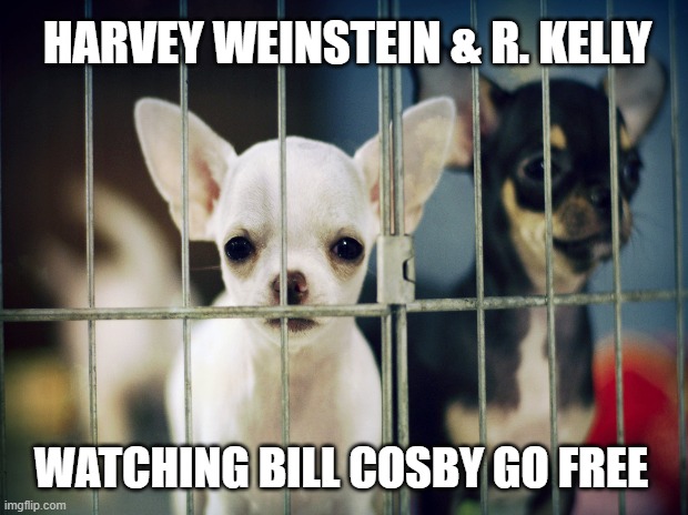 Bill Cosby goes free | HARVEY WEINSTEIN & R. KELLY; WATCHING BILL COSBY GO FREE | image tagged in bill cosby,free,r kelly,harvey weinstein,watching | made w/ Imgflip meme maker