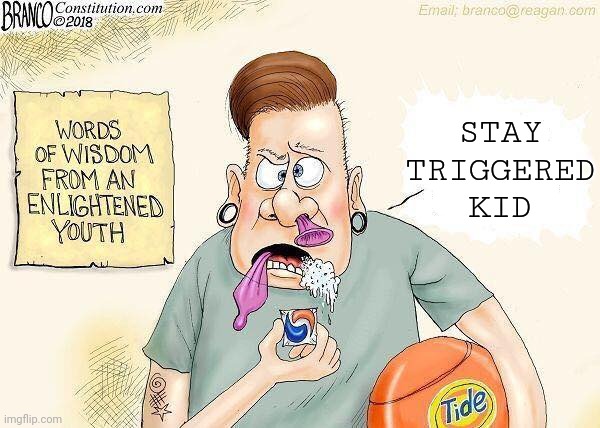 STAY TRIGGERED KID | made w/ Imgflip meme maker