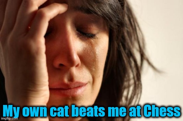 First World Problems Meme | My own cat beats me at Chess | image tagged in memes,first world problems | made w/ Imgflip meme maker