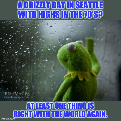 Perspective: |  A DRIZZLY DAY IN SEATTLE WITH HIGHS IN THE 70'S? AT LEAST ONE THING IS RIGHT WITH THE WORLD AGAIN. | image tagged in kermit window,weather,seattle,rain,heatwave,memes | made w/ Imgflip meme maker