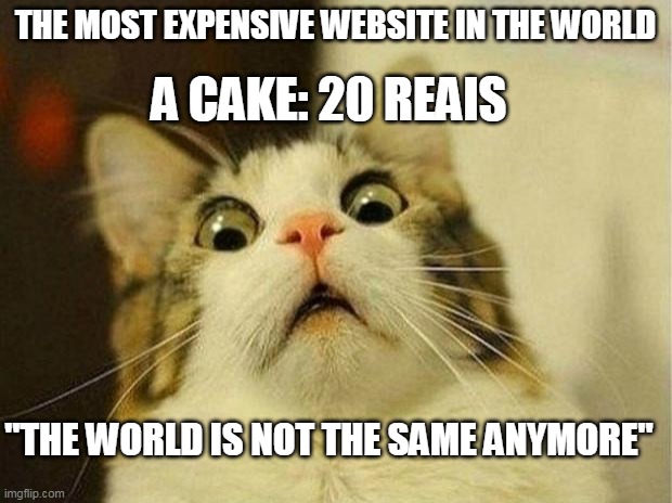 Scared Cat Meme | A CAKE: 20 REAIS; THE MOST EXPENSIVE WEBSITE IN THE WORLD; "THE WORLD IS NOT THE SAME ANYMORE" | image tagged in memes,scared cat | made w/ Imgflip meme maker