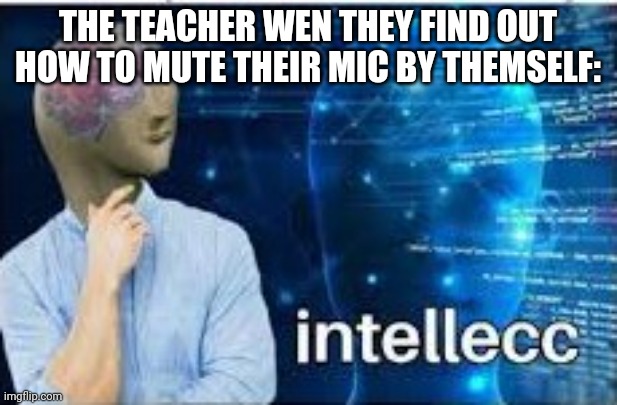 Back in online school | THE TEACHER WEN THEY FIND OUT HOW TO MUTE THEIR MIC BY THEMSELF: | image tagged in intellecc,school,teacher,online school,covid-19 | made w/ Imgflip meme maker